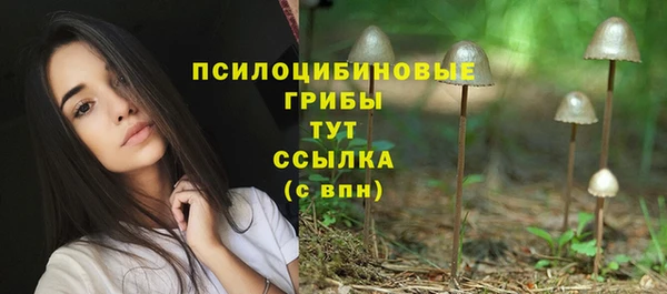 2c-b Карталы